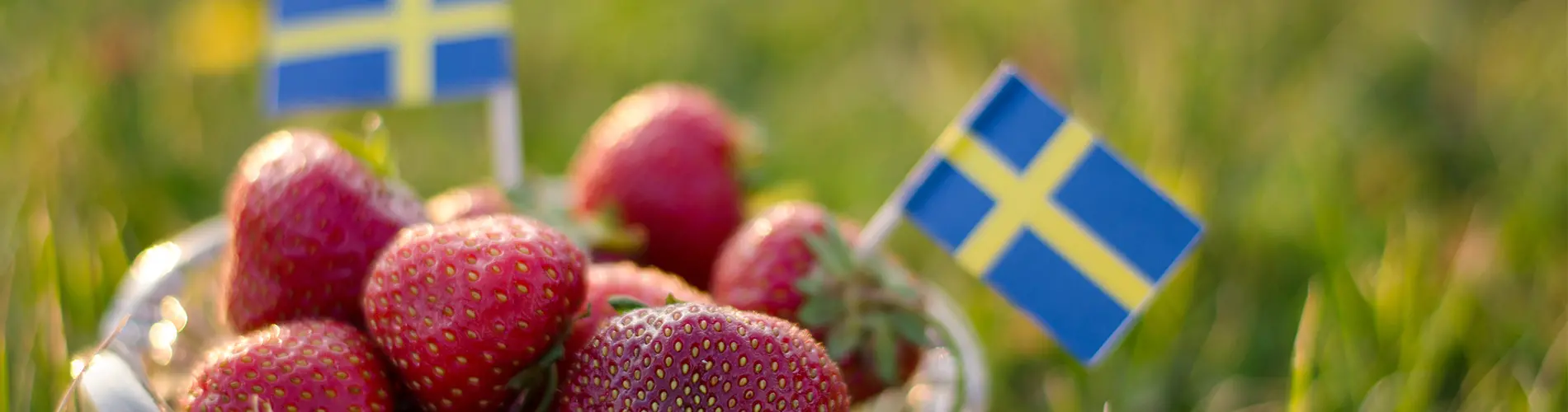 Svensk sommar